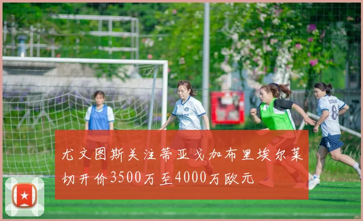 尤文图斯关注蒂亚戈加布里埃尔莱切开价3500万至4000万欧元